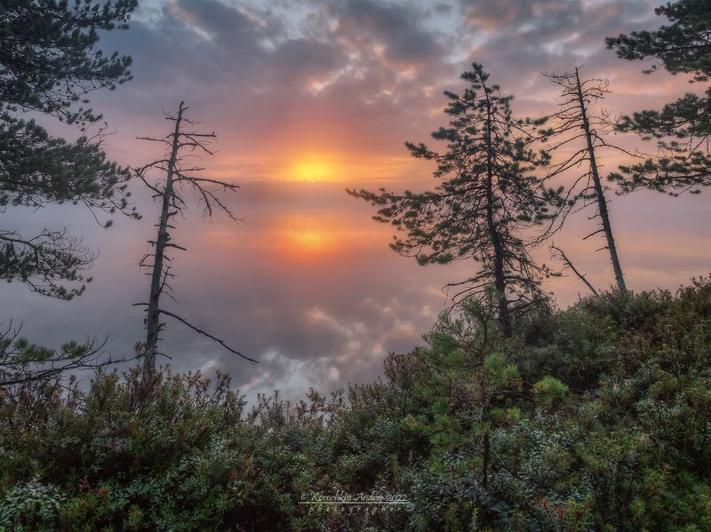 Утро на лесном озере... фото превью