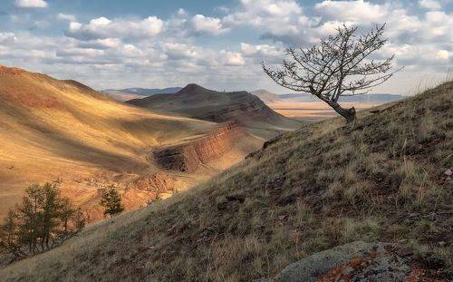 Весна в долине Онло