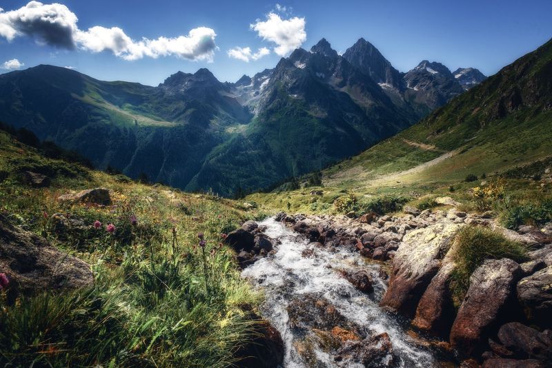 *** фото превью