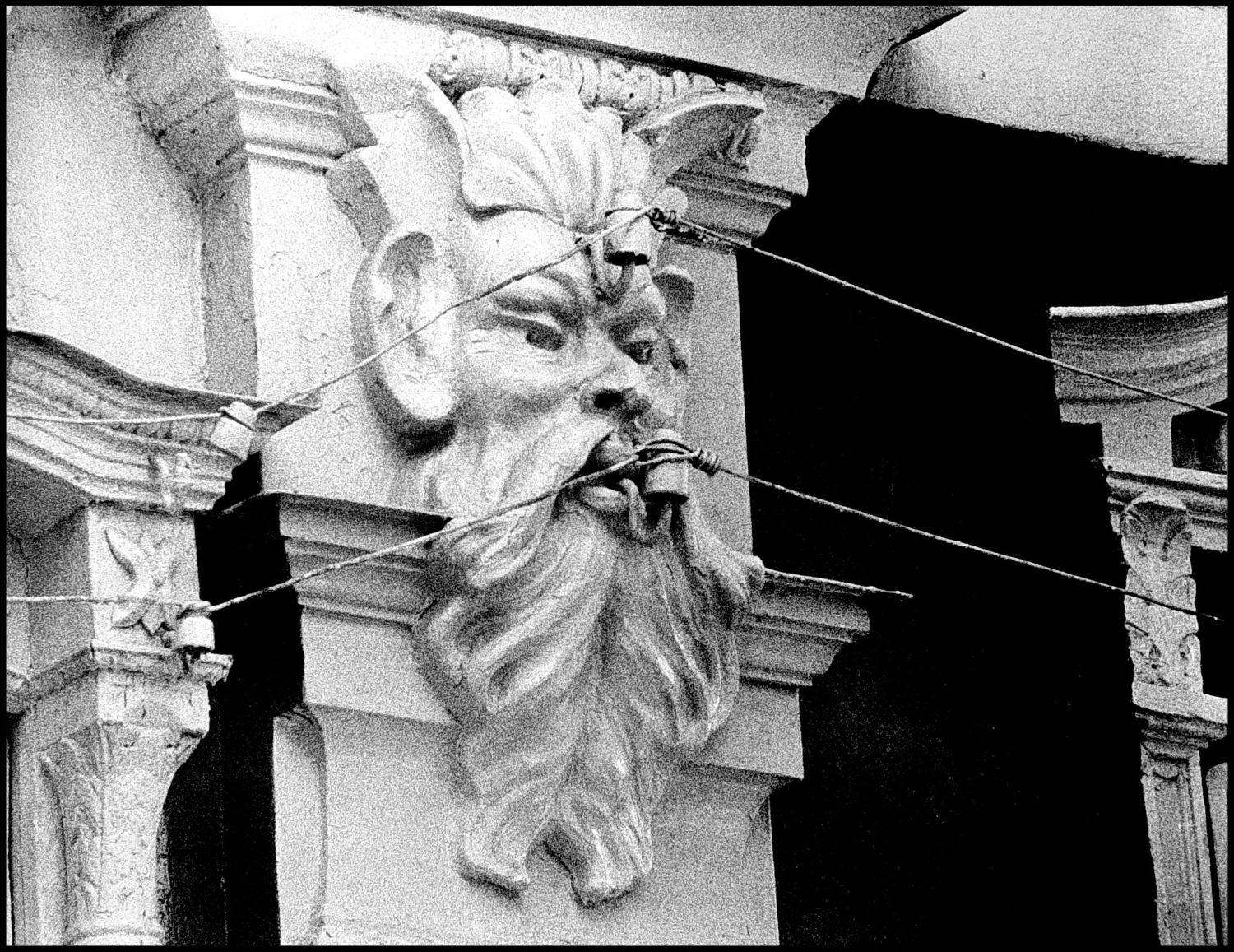 , Меднов Влад