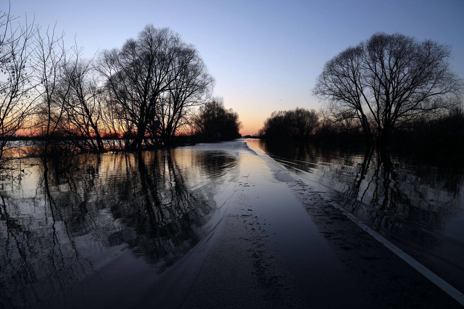 , Колосова Елена