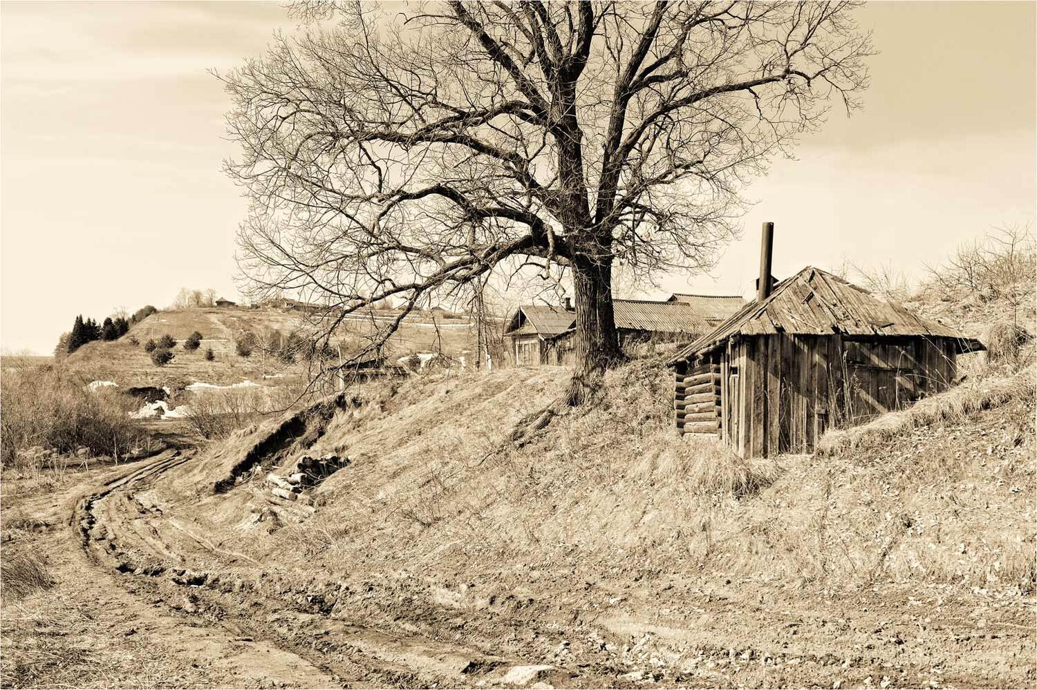 , Анатолий Гулин