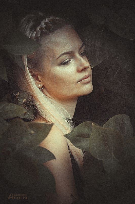 *** фото превью