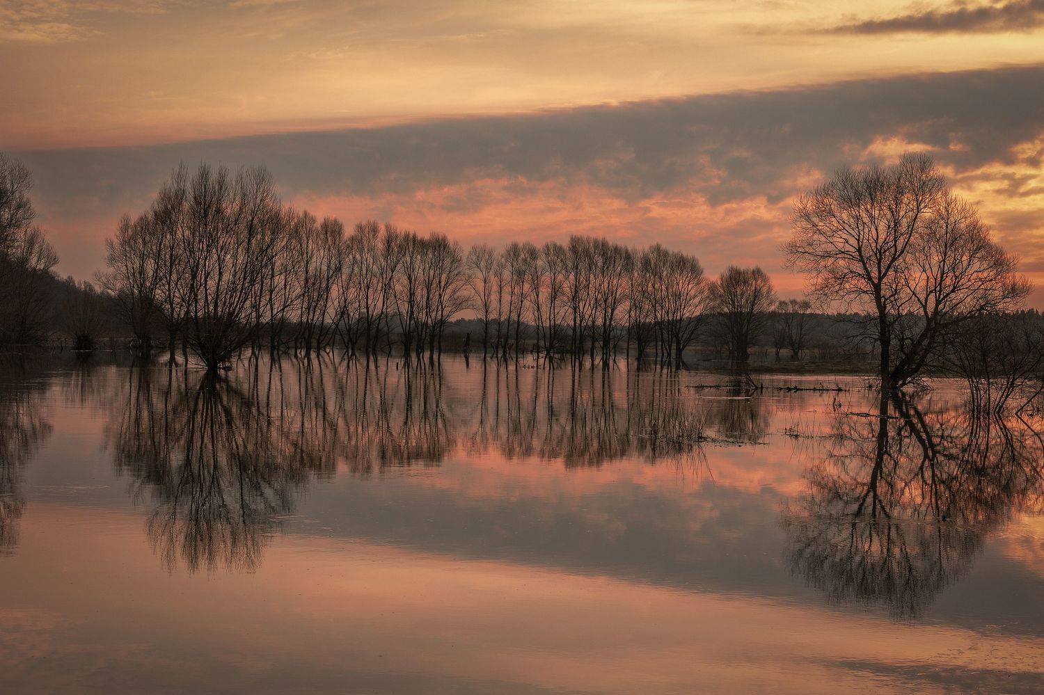 Владимирская область, Елена Гусева