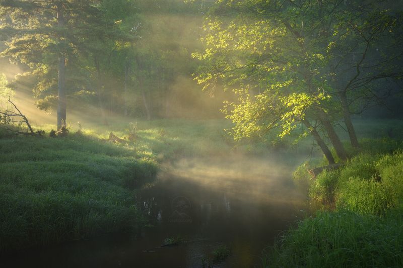Речное утро фото превью