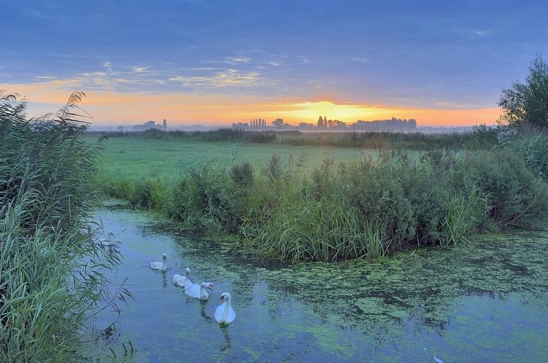 My region. фото превью