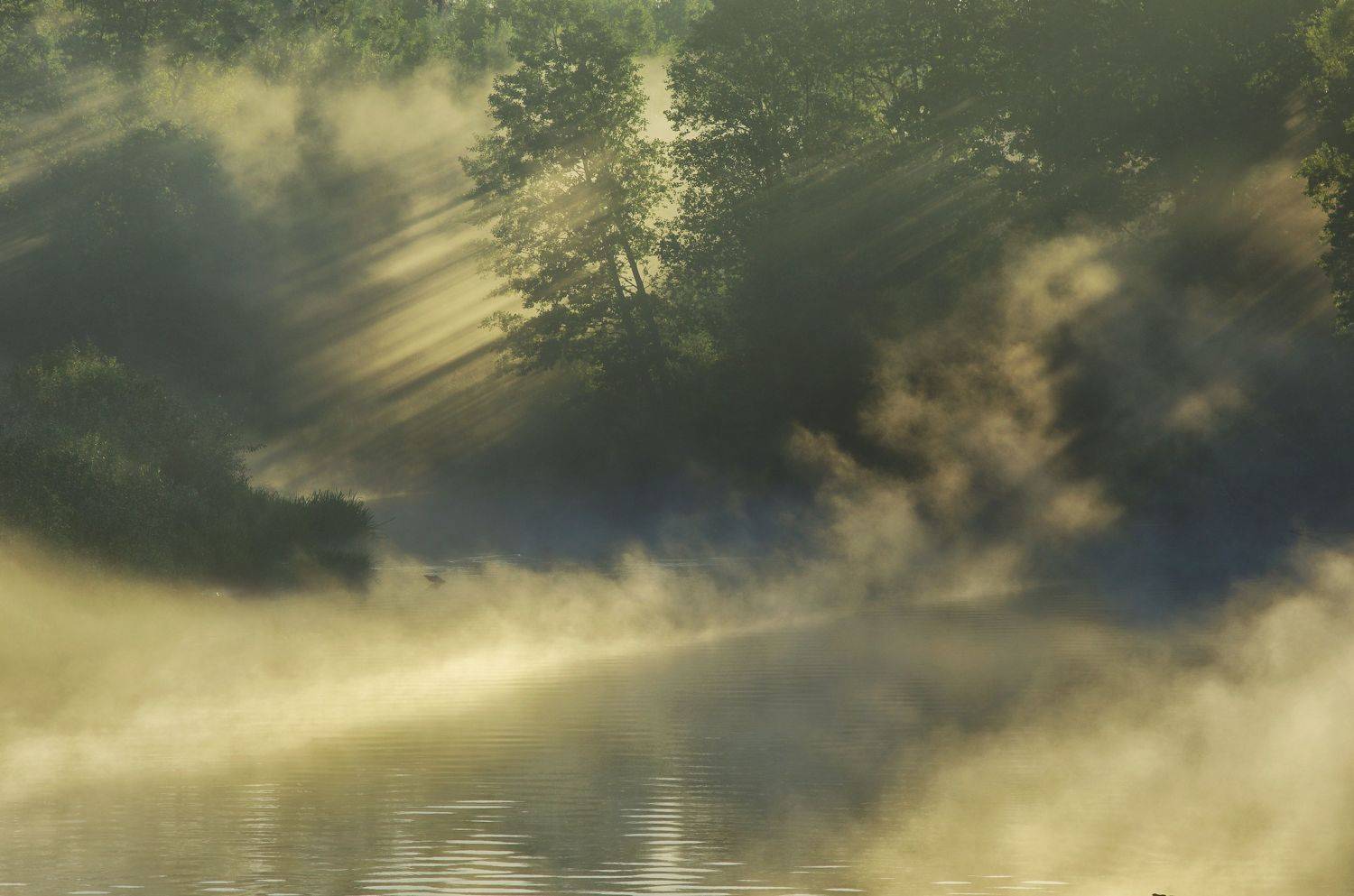 , Сергей Шляга