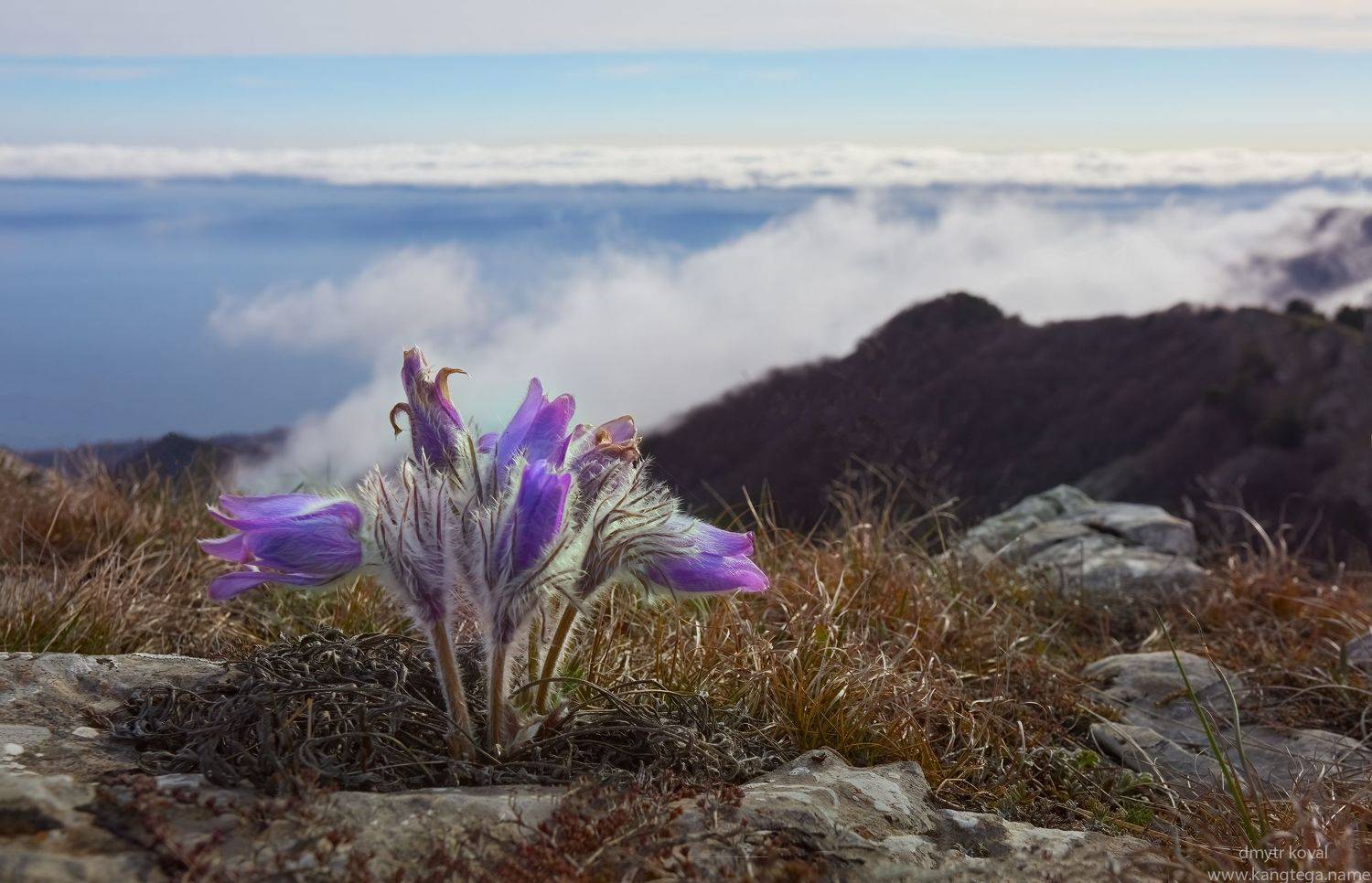 дмитр коваль, гималаи и крым вне треков, пейзаж как магия, Коваль Дмитр