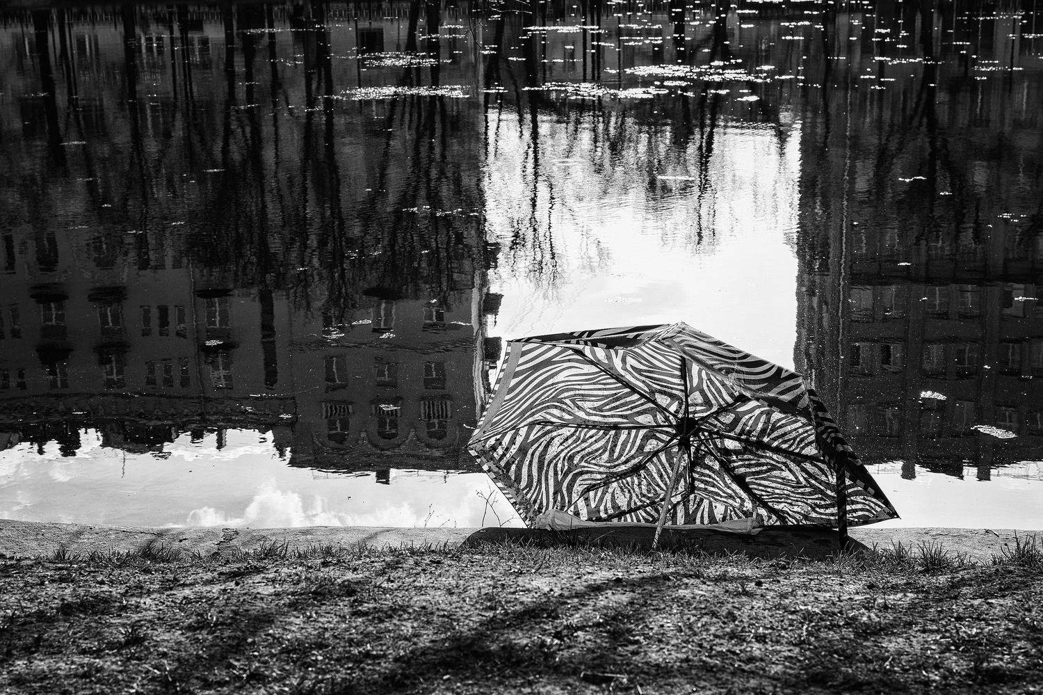 , Евгений Верещагин