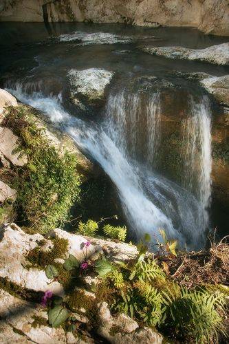 Теплый Февраль