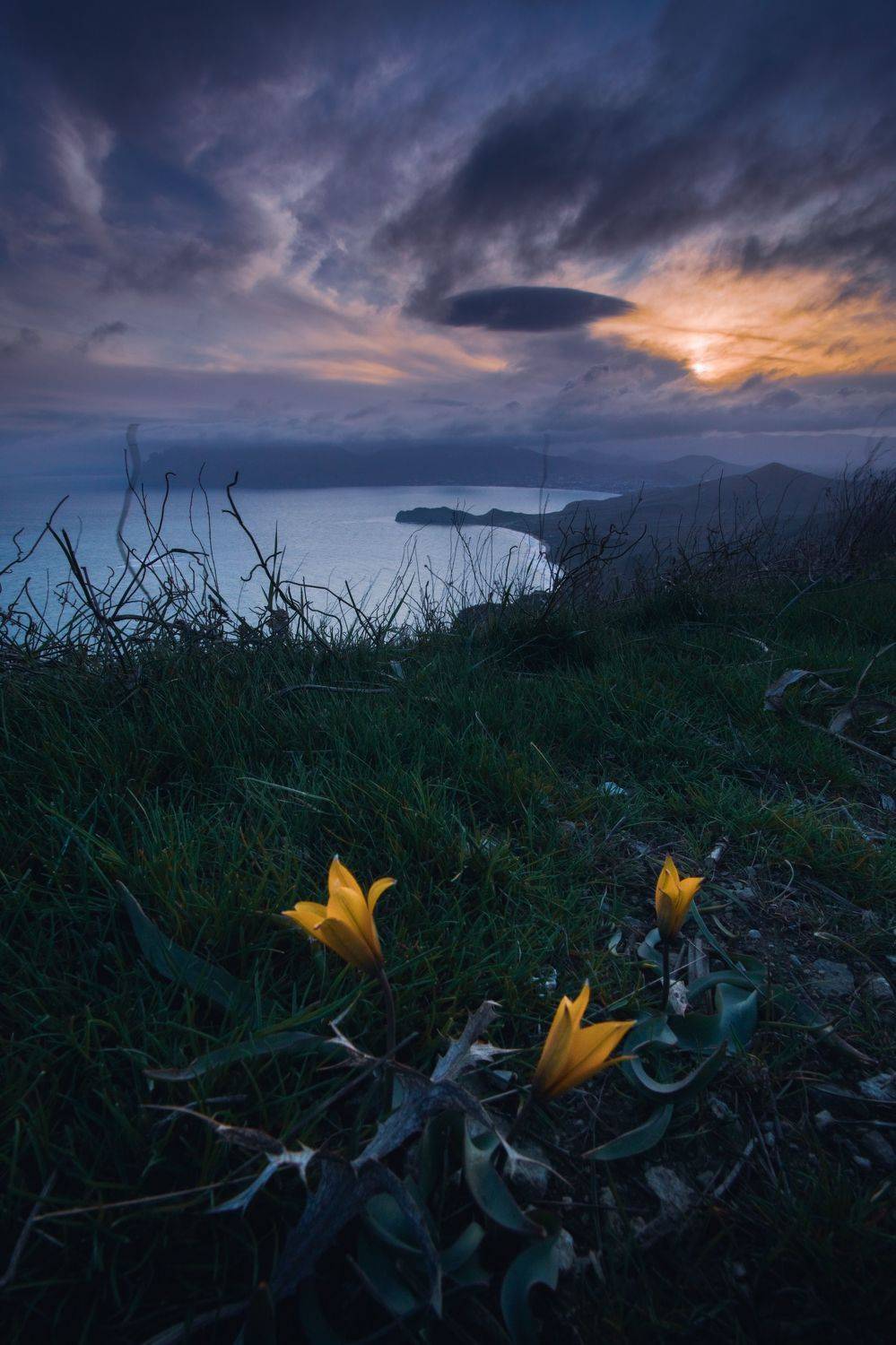 , Кривцов Андрей