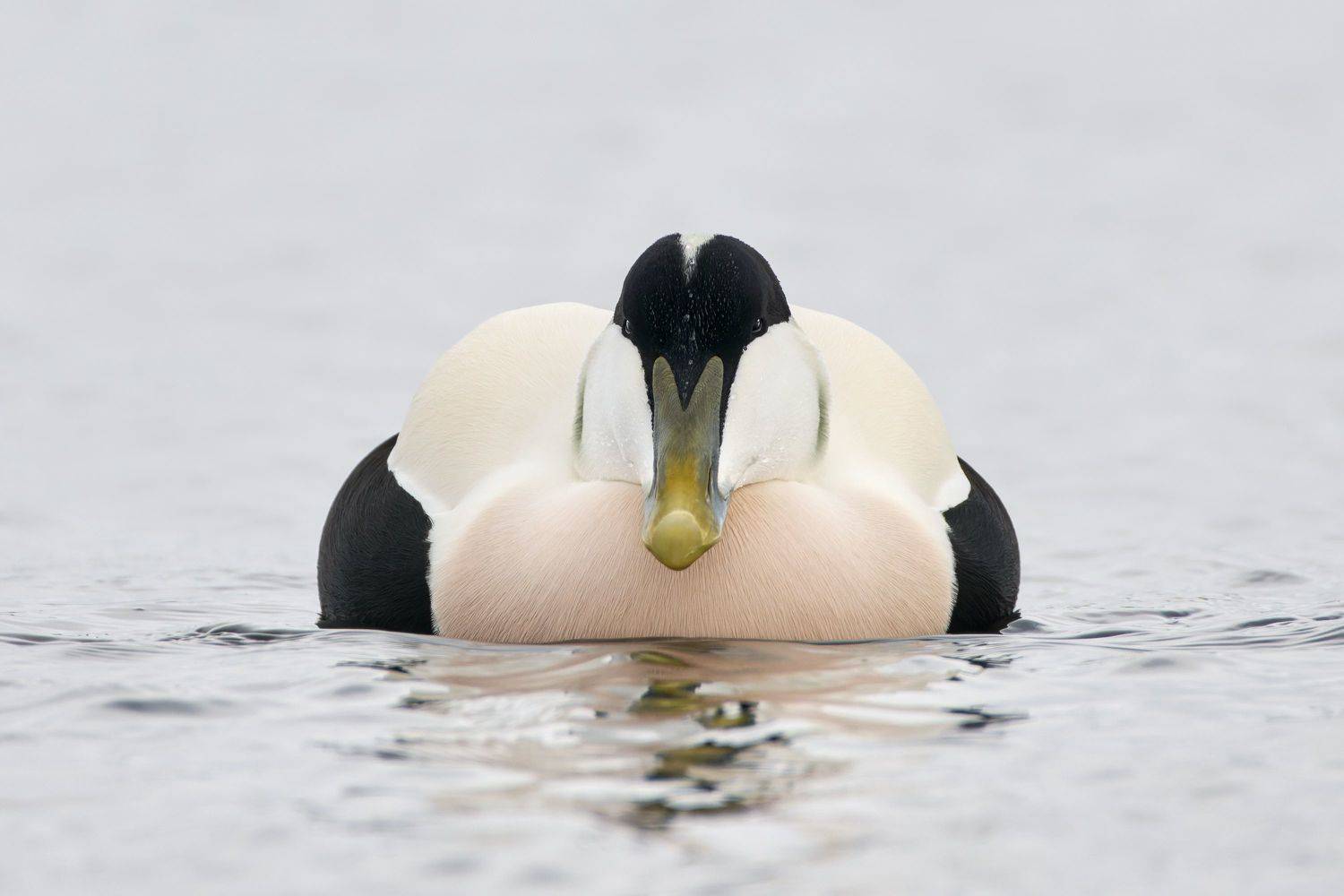 , Александр Семенов