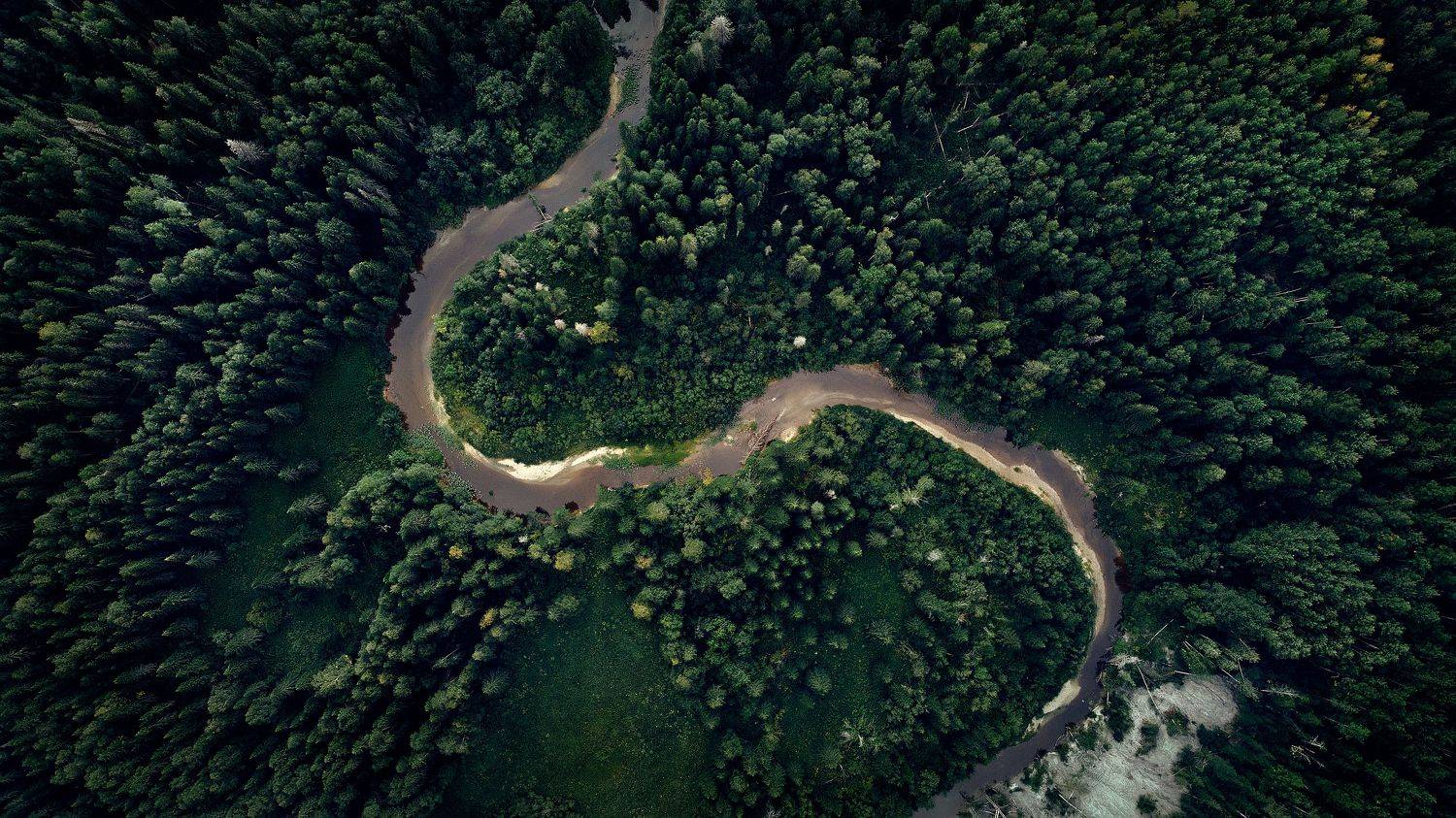 , Лисаускас Илья