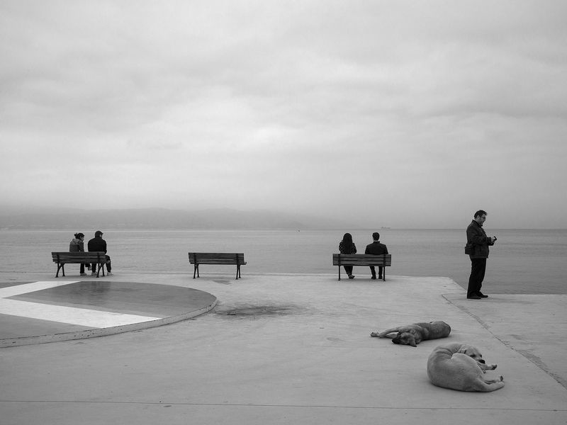 Silence фото превью