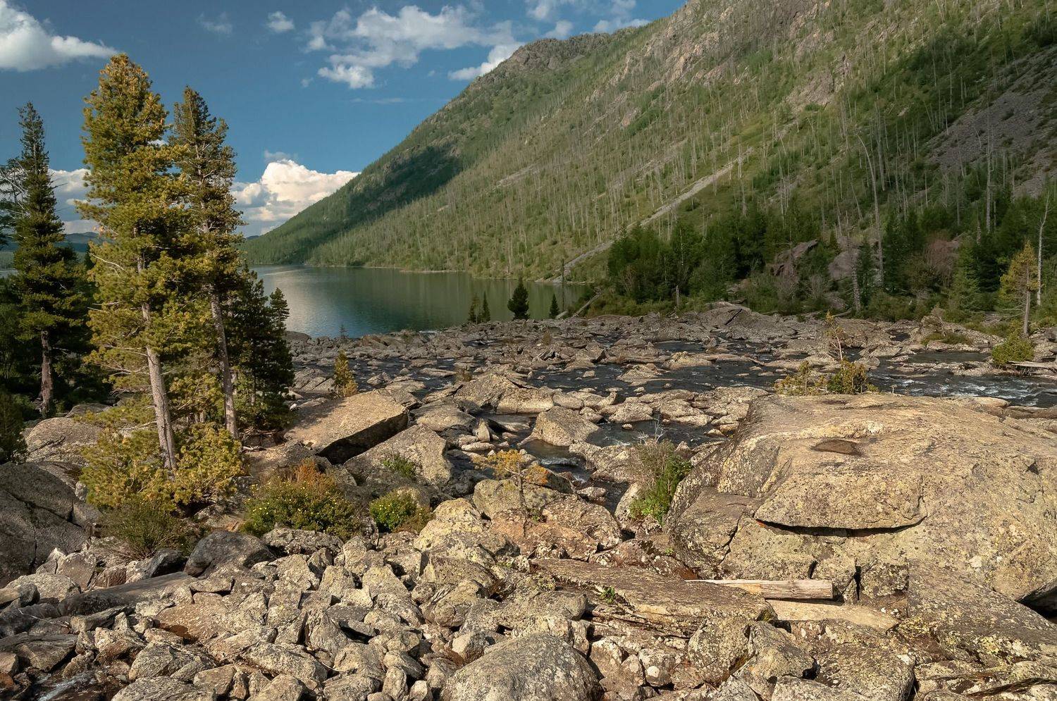 республика алтай, шумы, мультинские озера, камни, перекат, лето, Фомина Марина