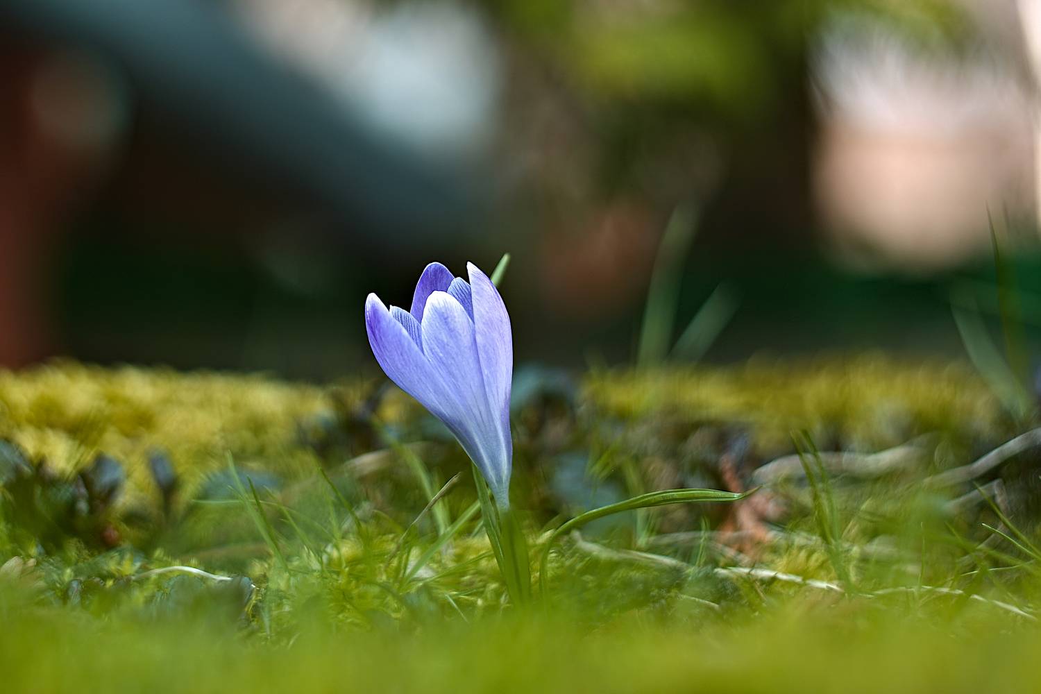 , Эдуард Колобошников