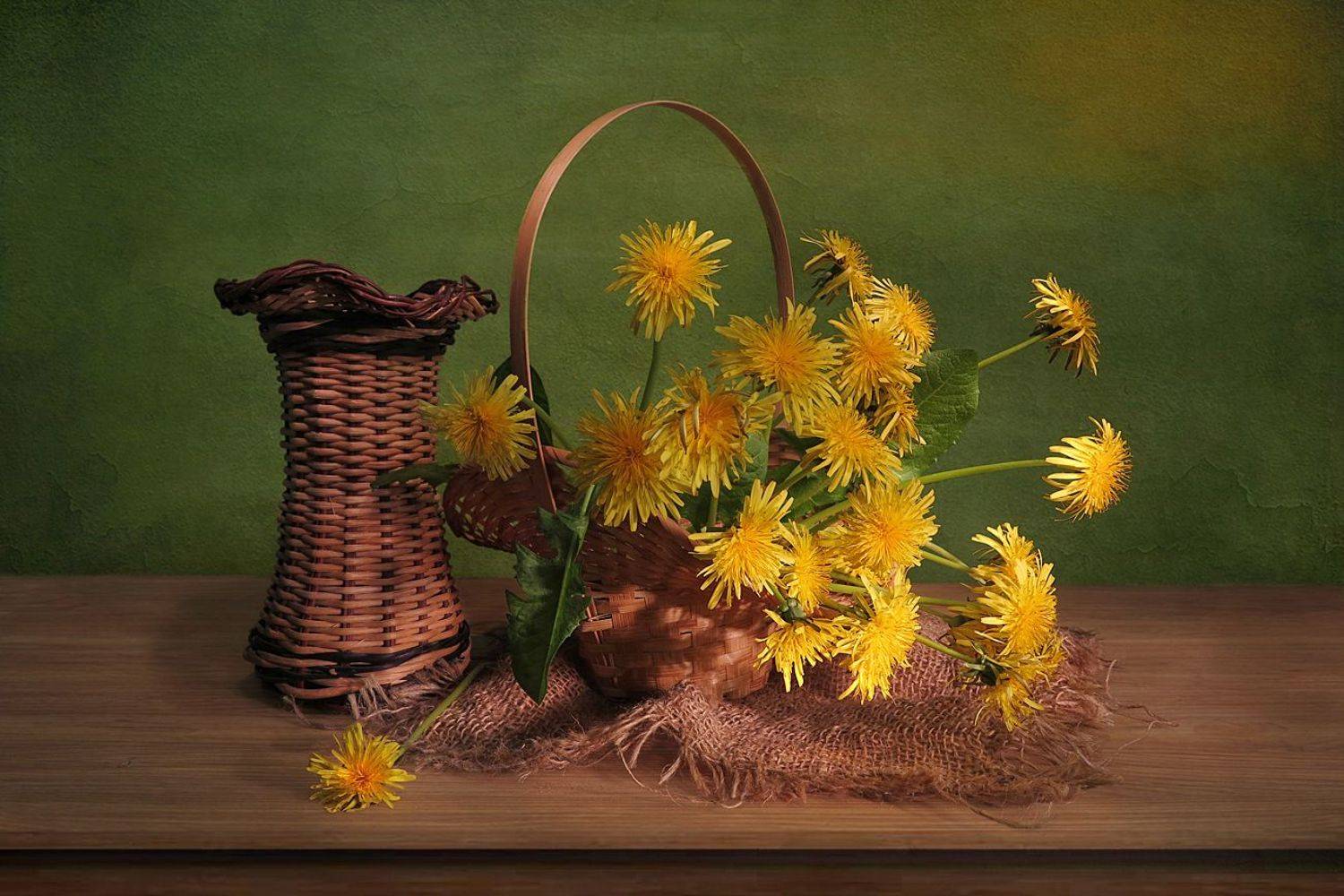 натюрморт,весна,корзина,мешковина,одуванчики, Алла Шевченко