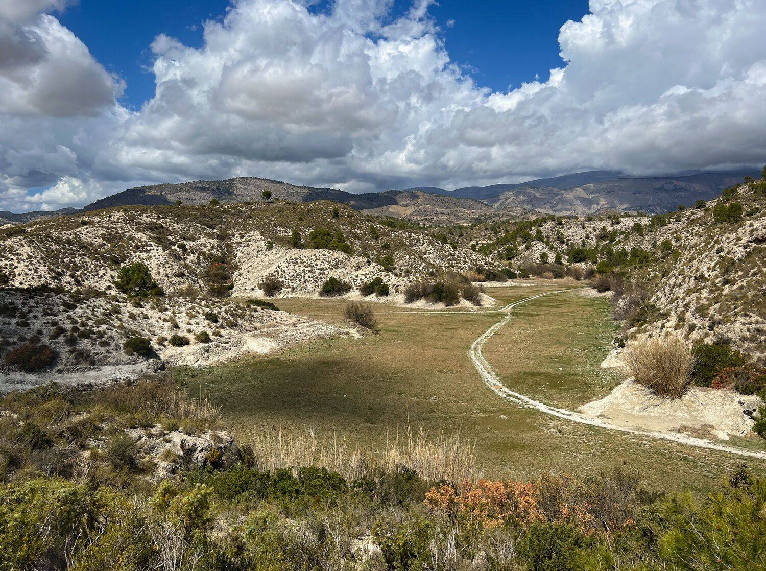 , Алекс Римский