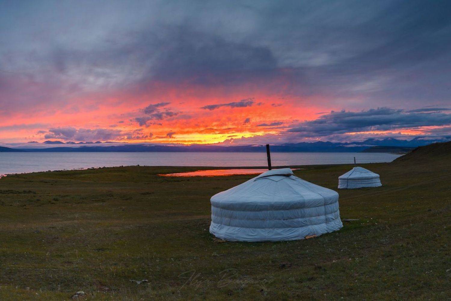 монголия, хубсугул, фототур в монголию,, Буянов Илья