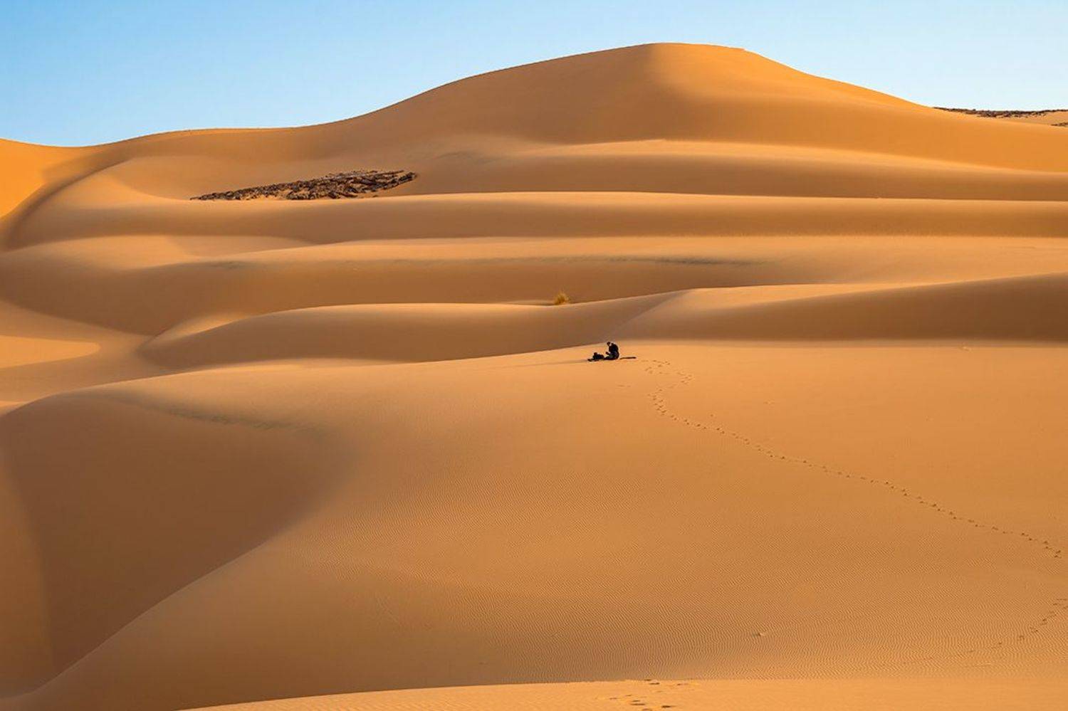 дюна, сахара, пустыня, алжир, песок, desert,, Антипов Игорь