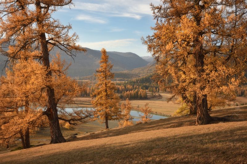аргут, алтай, горный алтай, фототур на алтай, джазатор Утро в Джазаторе фото превью