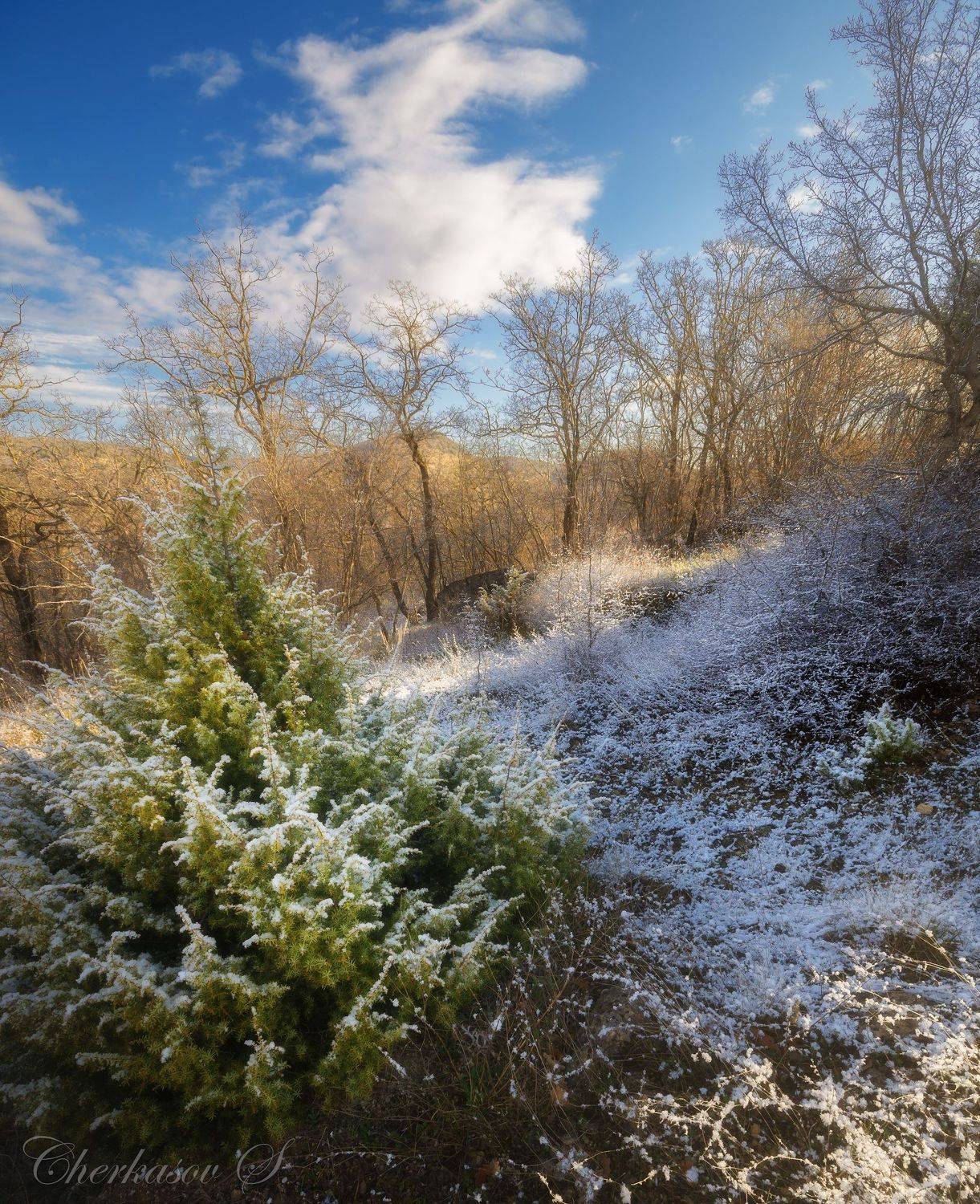 крым, снег,, Черкасов Сергей