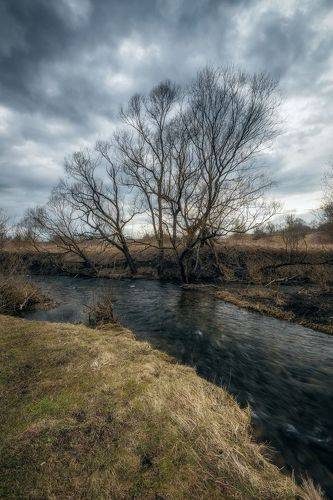 Тульская область. Апрель 2023