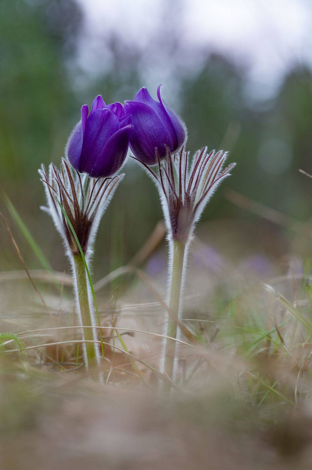 , Роман Зайцев