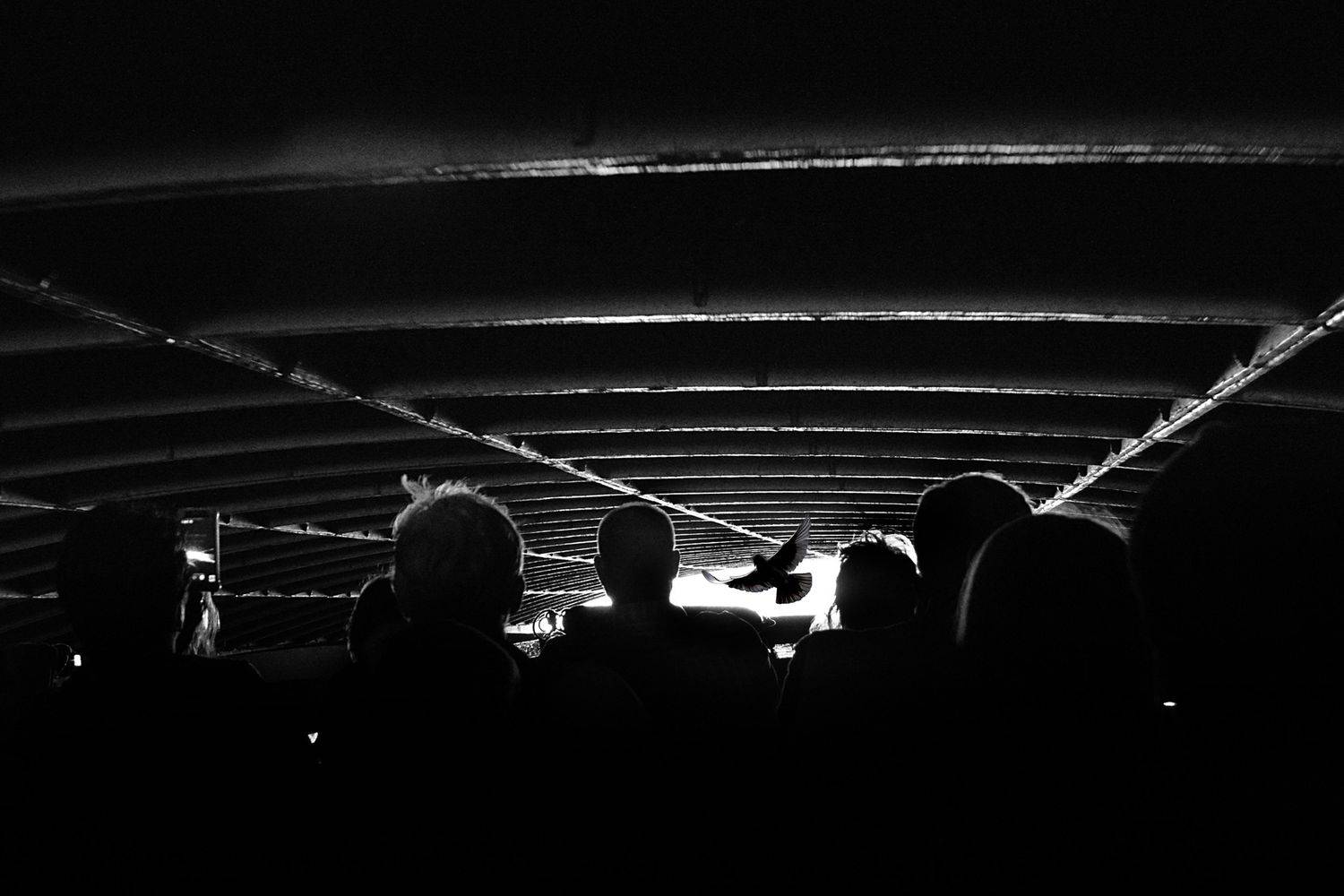 , Александр Пантюшин