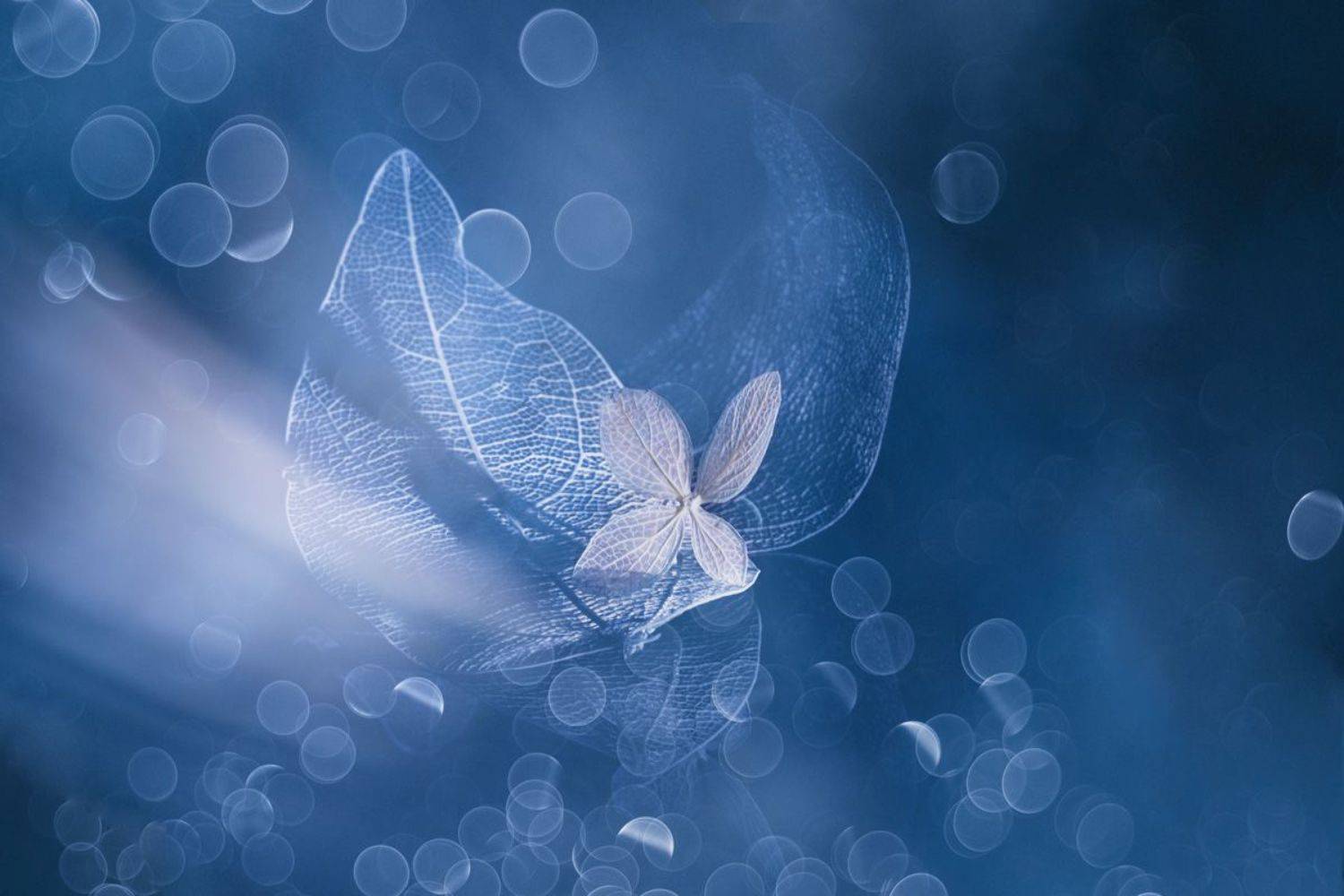 close-up, Игорь Копцев