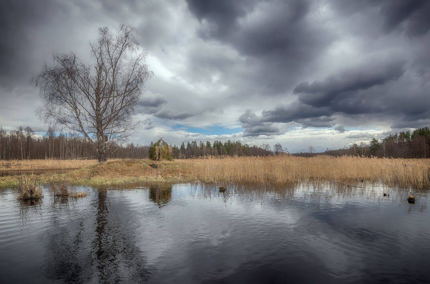 половодье, апрель, весна, Сергей Аникин