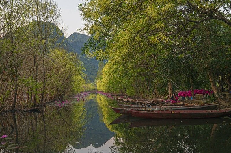 Water Lyly Boat фото превью