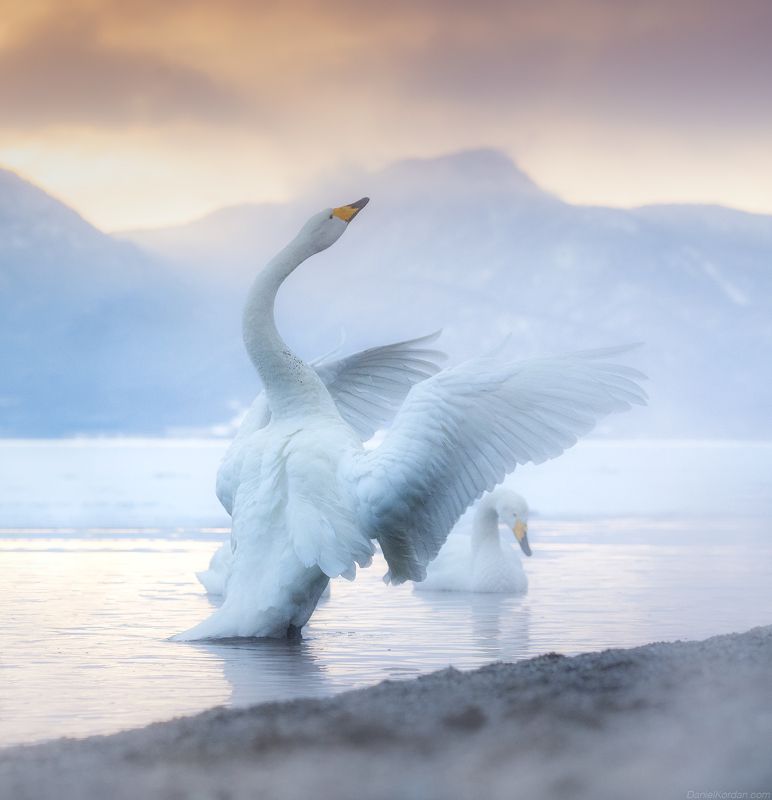 Hokkaido Japan