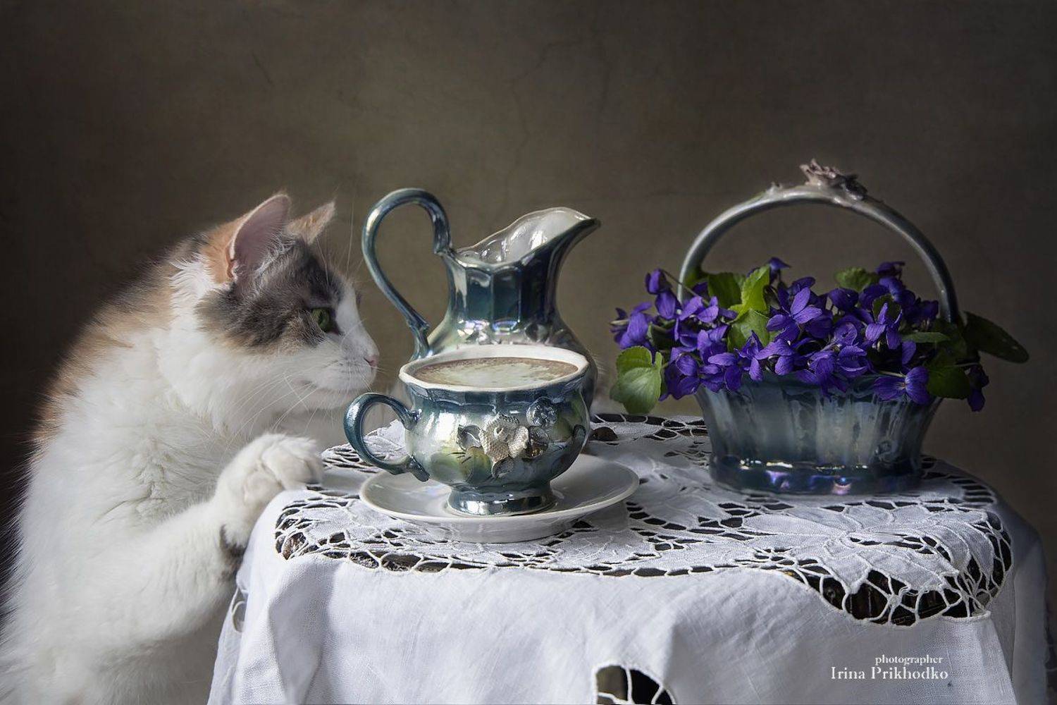 натюрморт, весна, фиалки. любопытная кошка, кофейный столик, Приходько Ирина