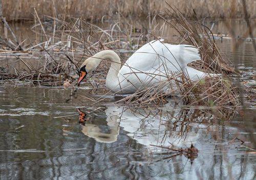 Вдали от шума городского