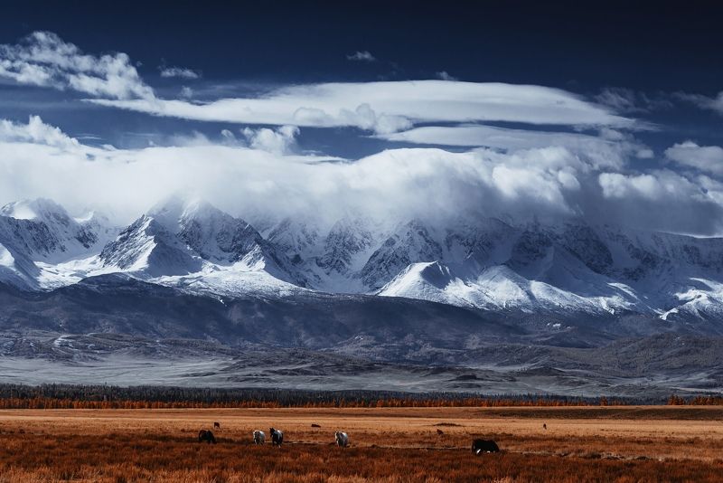 горы, горный алтай, чуйский тракт, пейзаж, алтай, дорога, россия Чуйский тракт фото превью