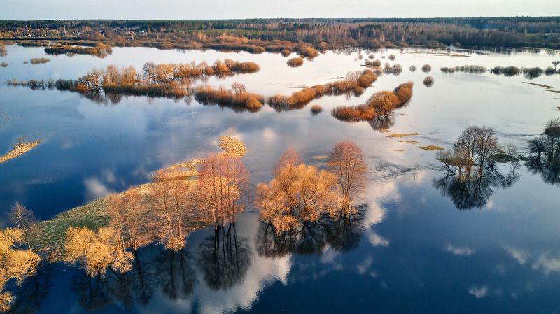апрель, беларусь, весна, вечер, вода, половодье, река, свислочь Половодье на Свислочи фото превью