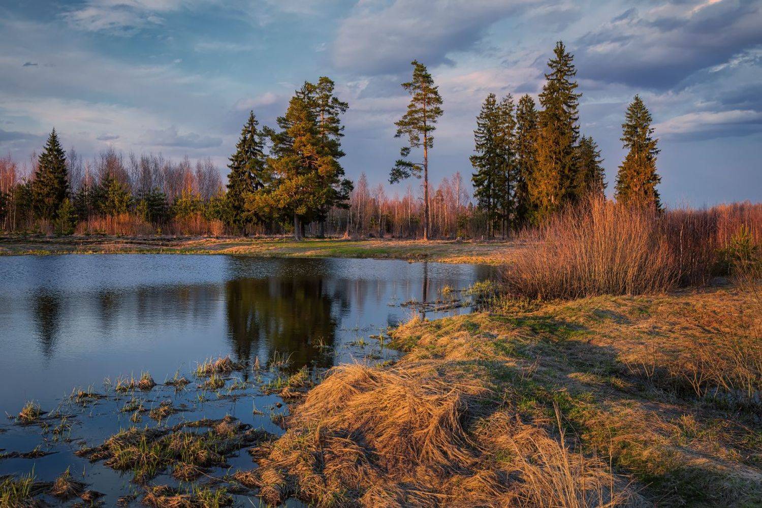 , Евгений Ерохин