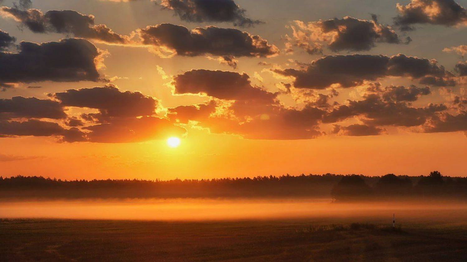 , Сергей Шляга