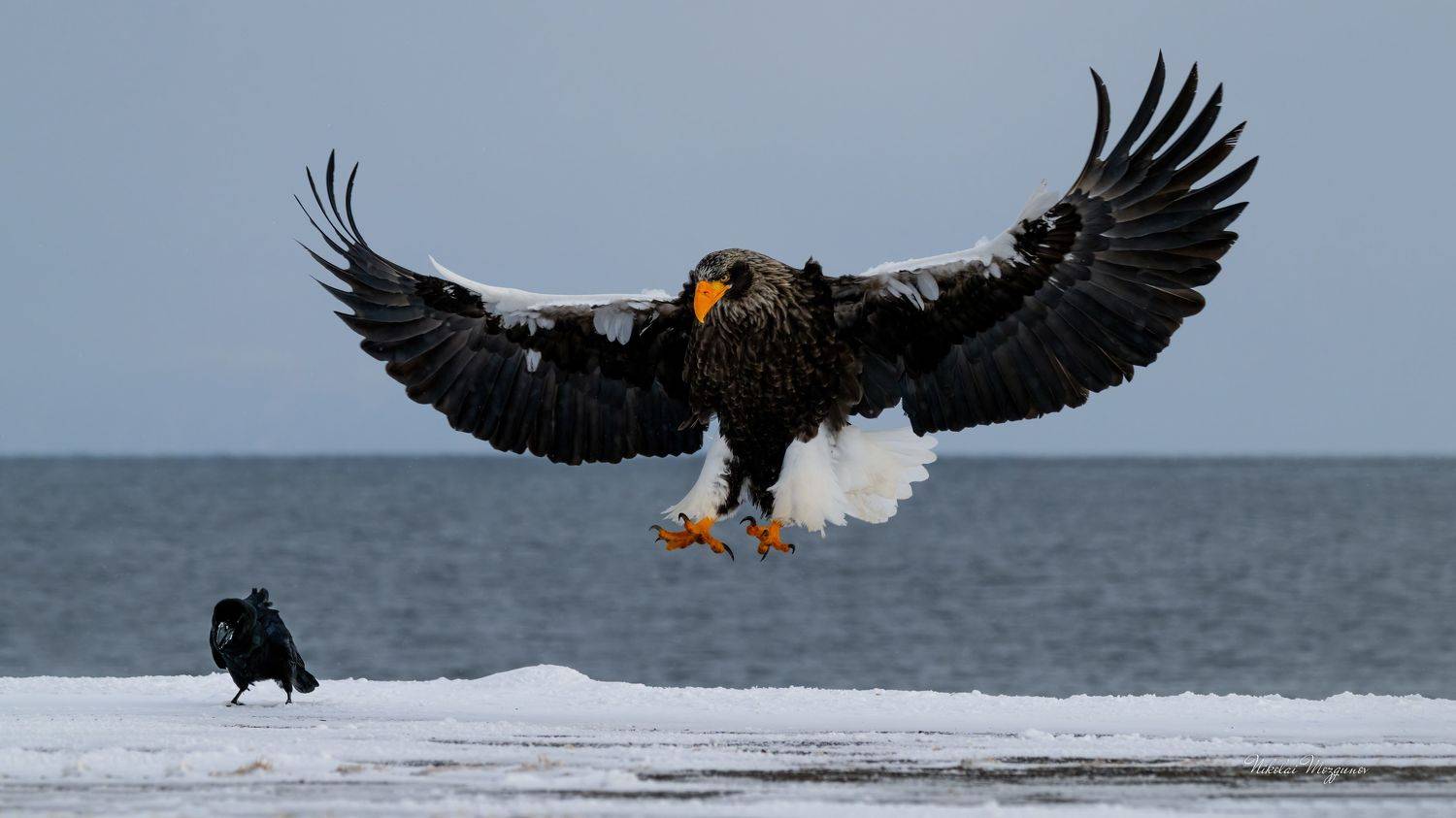 , Николай Мозгунов