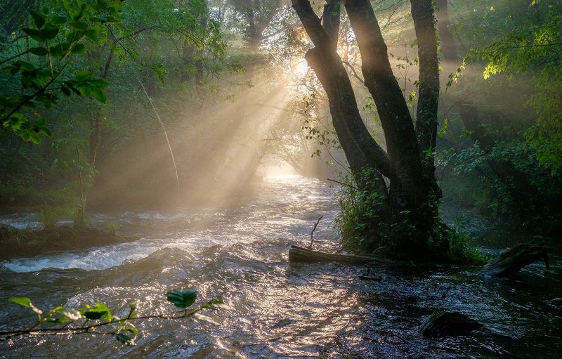 Солнечный луч в каньоне реки Черная фото превью