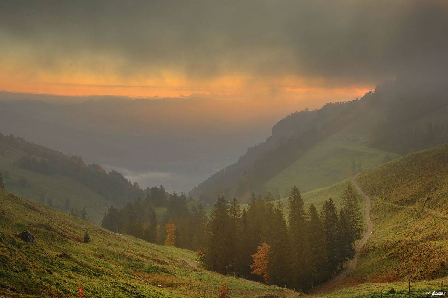 swiss,швейцария,осень,rigi, Николай Матвеев