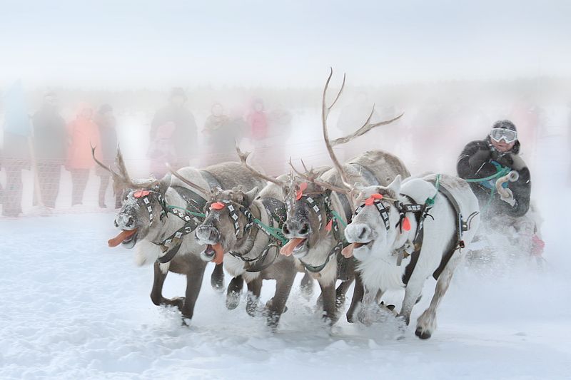 команда фото превью