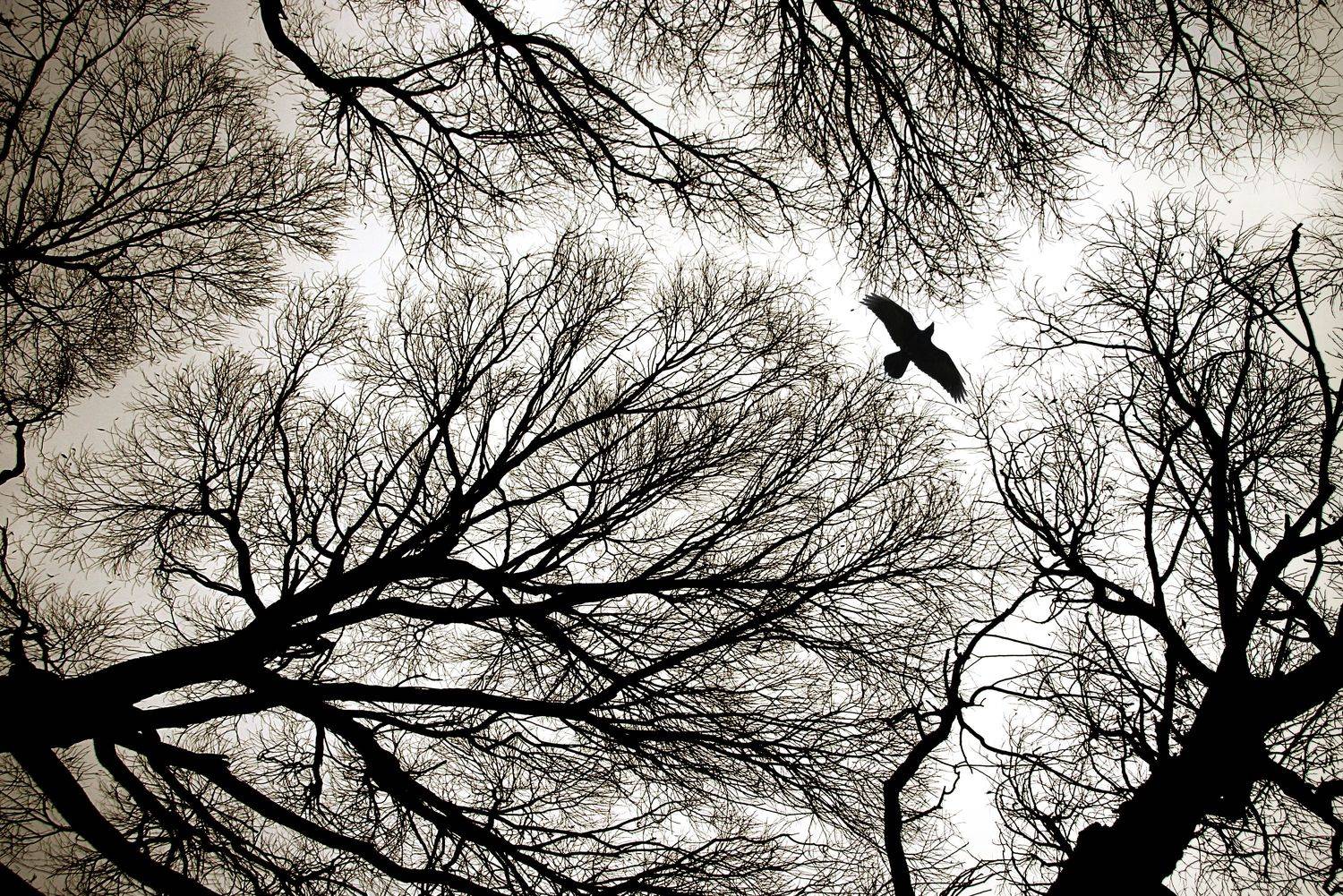 , Александр Пантюшин