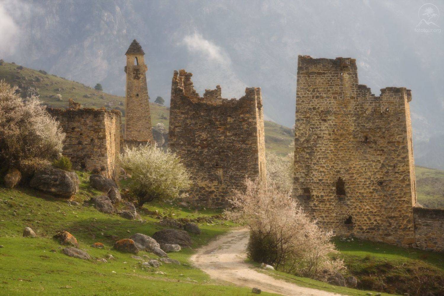 ингушетия, заповедник эрзи, башенные комплексы, весна, цветение, фототур в ингушетию, горы, Гордиенко Анатолий