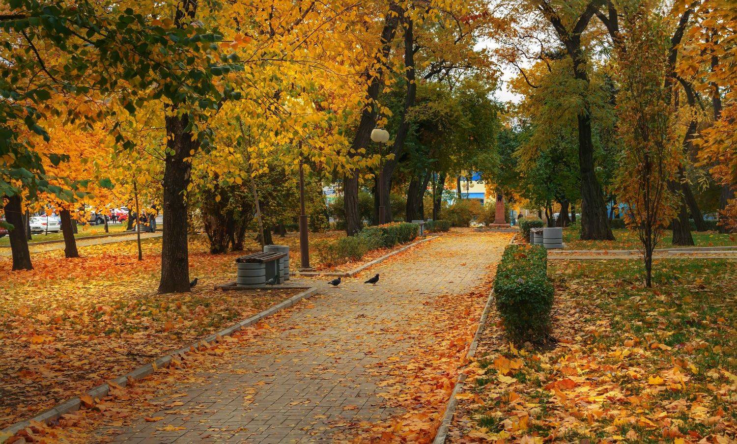 , Лысенко Сергей