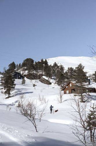 Ski in Norway.