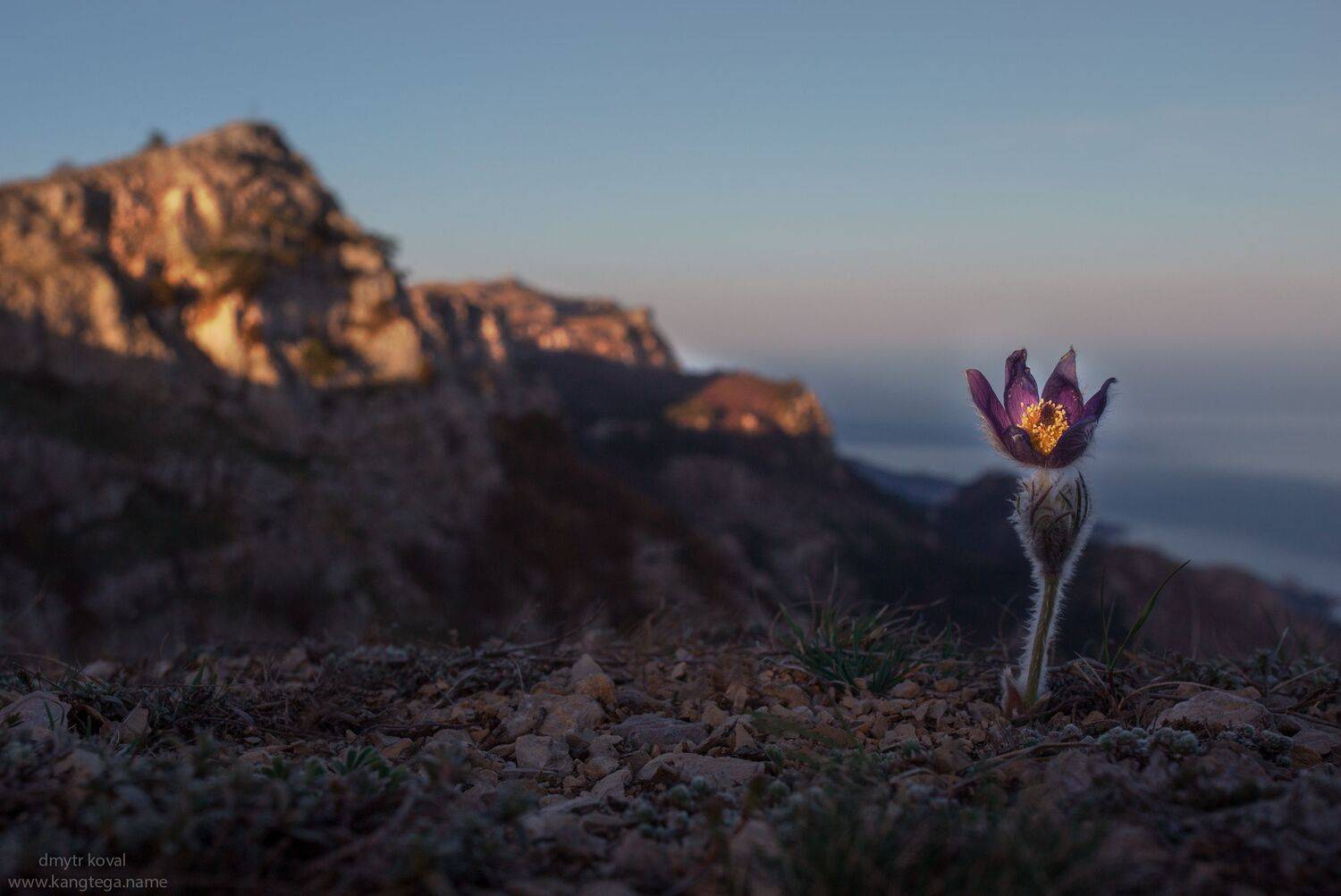 дмитр коваль, гималаи и крым вне треков, пейзаж как магия, Коваль Дмитр