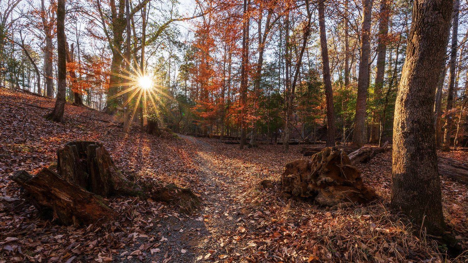 , Леонид Дьяченко