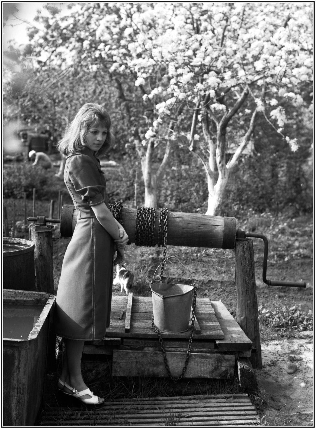 , Владимир Краснов